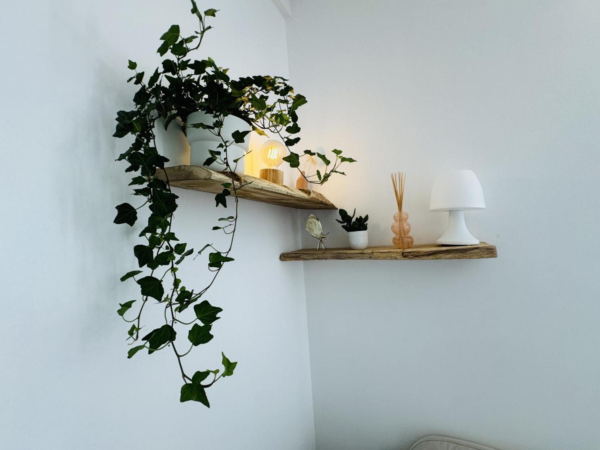 Apartment Le Piccolo - Cosy - Wifi *